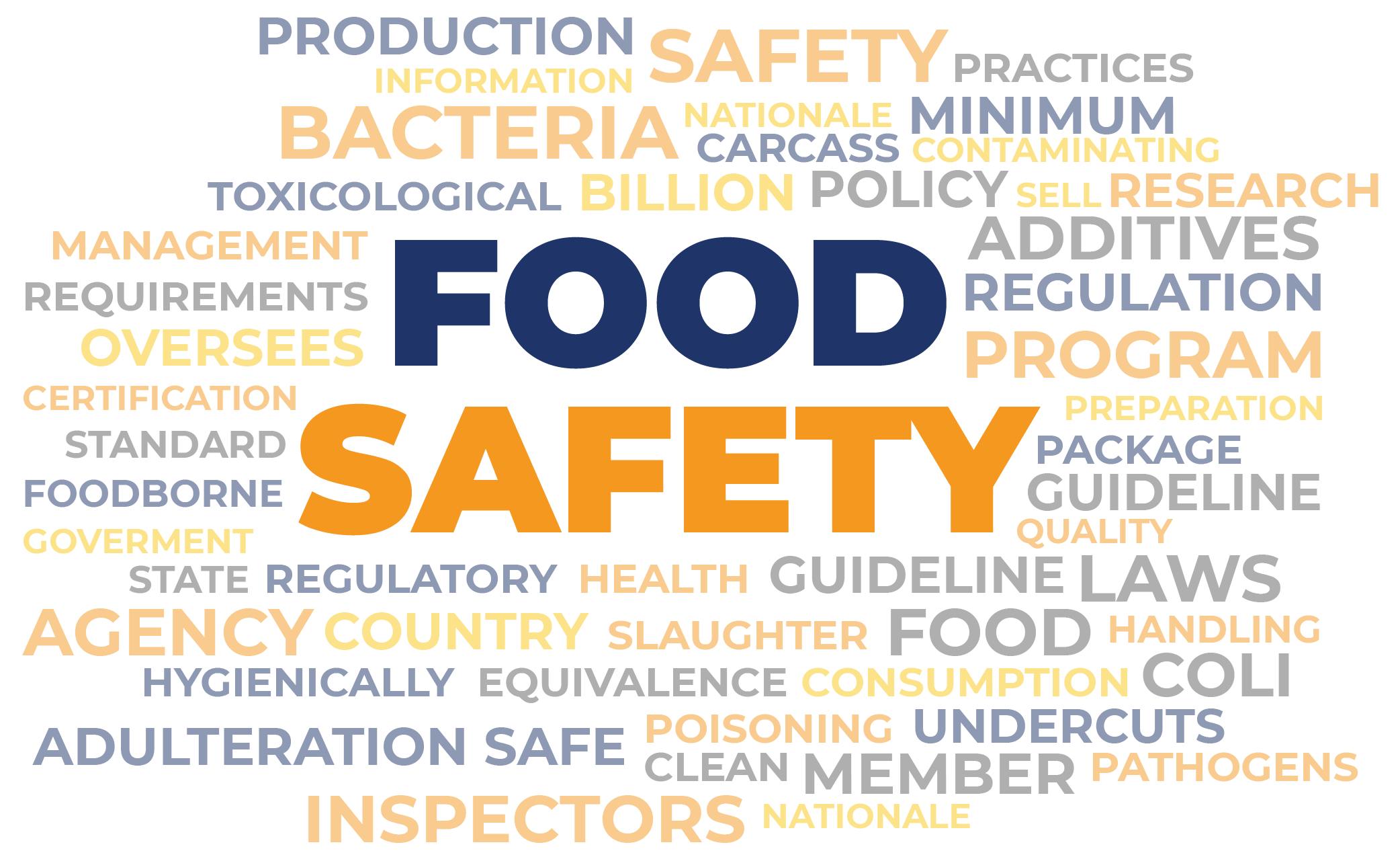 What are the primary food safety issues?