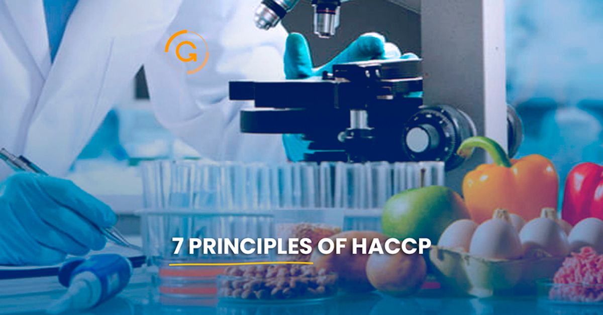 What are the 7 Principles of HACCP?