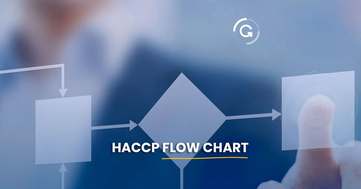 what-is-a-haccp-flow-chart